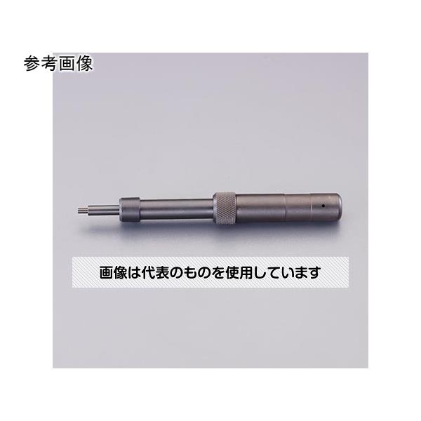 緑であること活動の領域
