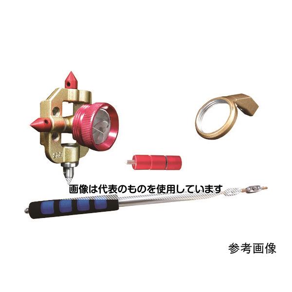 緑であること活動の領域