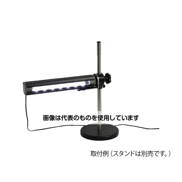 緑であること活動の領域