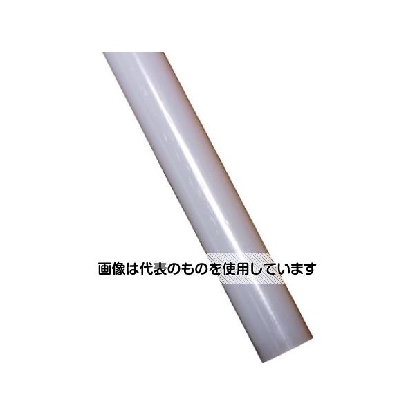 緑であること活動の領域