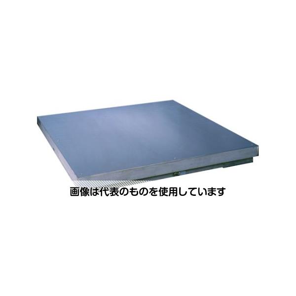 田中衡機工業所 ステンレス製デジタル台はかり ザ・スイン 2000kg TT-2 SUS 1200X1200 入数：1台