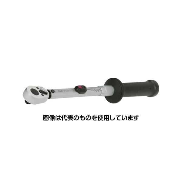 緑であること活動の領域