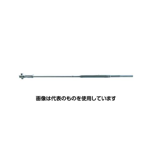 緑であること活動の領域