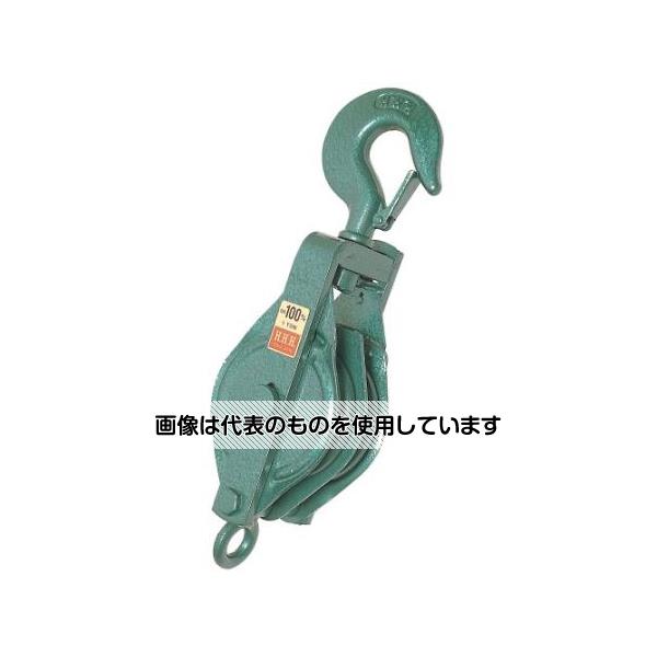 アズワン(AS ONE) 175mm 強力型滑車(2車) EA987HA-175B 入数：1個