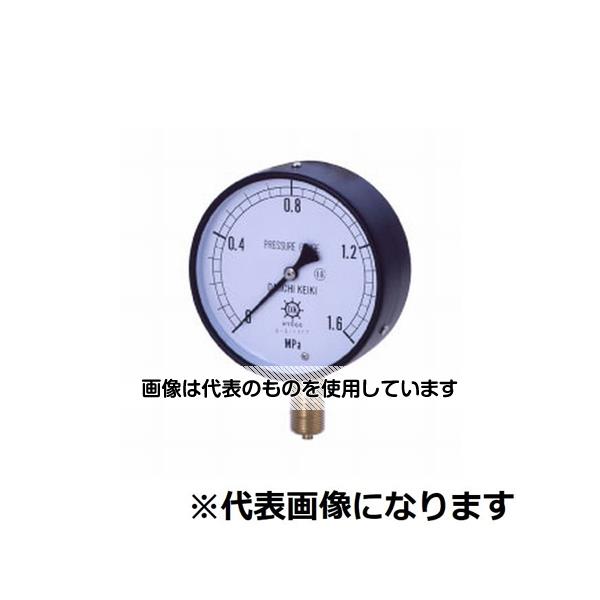 アズワン(AS ONE) IPT一般圧力計 A型 φ150 R1/2 0～100MPA ASR1/2-150:100MPA 入数：1個