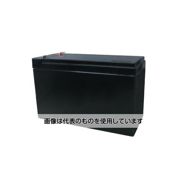 アズワン(AS ONE) [EA864AN-16用] シールドバッテリー EA864AN-47 入数：1台