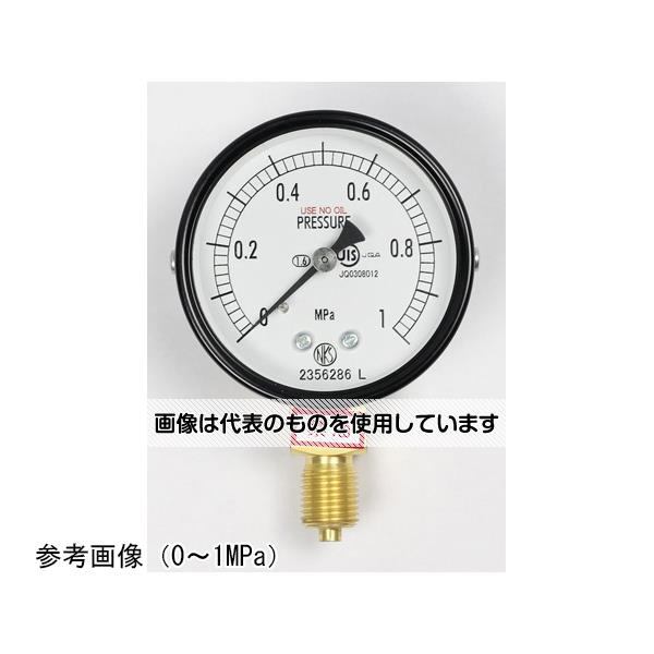 アズワン(AS ONE) 普通形圧力計(Φ60) 禁油 立形A枠 25MPa AA10-121 入数：1個