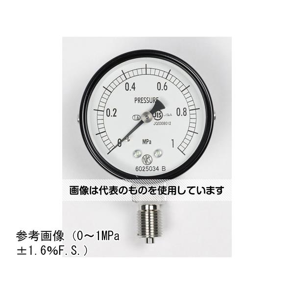 長野計器 普通形圧力計(Φ60) 立形A枠 2MPa AA10-123 入数：1個