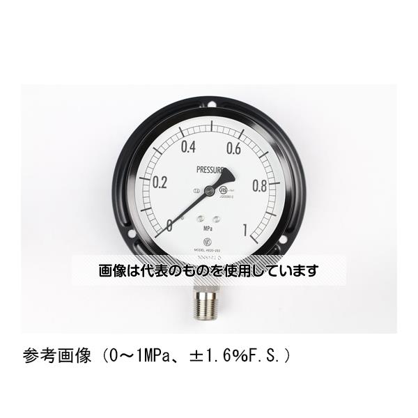 長野計器 普通形圧力計(Φ100) 立形B枠 40MPa AE20-283 入数：1個