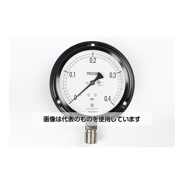 長野計器 普通形圧力計(Φ100) 立形B枠 0.4MPa AE20-293 入数：1個