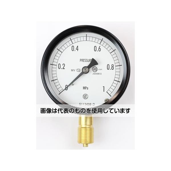 長野計器 密閉型圧力計(75Φ) 立形A枠 蒸気・耐振用 1MPa BC10-131 入数：1個