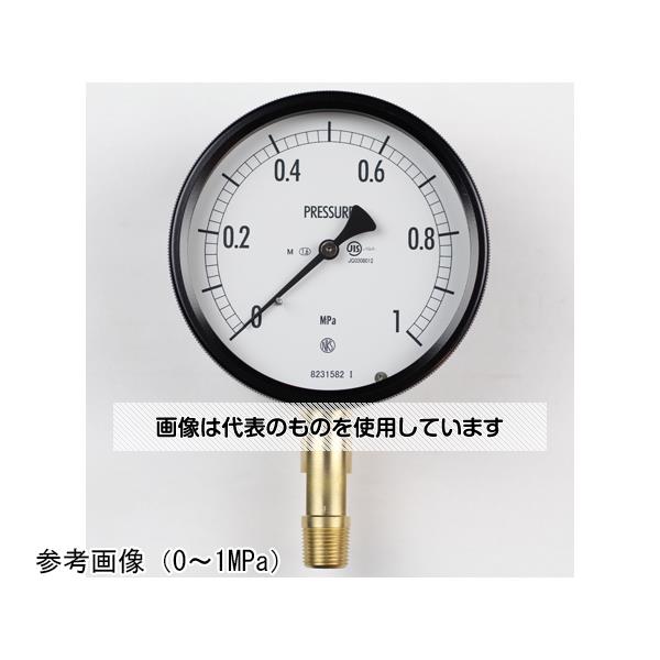長野計器 密閉型圧力計(100Φ) 立形A枠 蒸気用 1.6MPa BE10-181 入数：1個