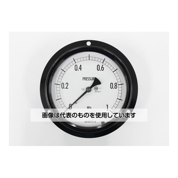 長野計器 密閉型圧力計(100Φ) 埋込形D枠(取付穴) 1MPa BE17-231 1個
