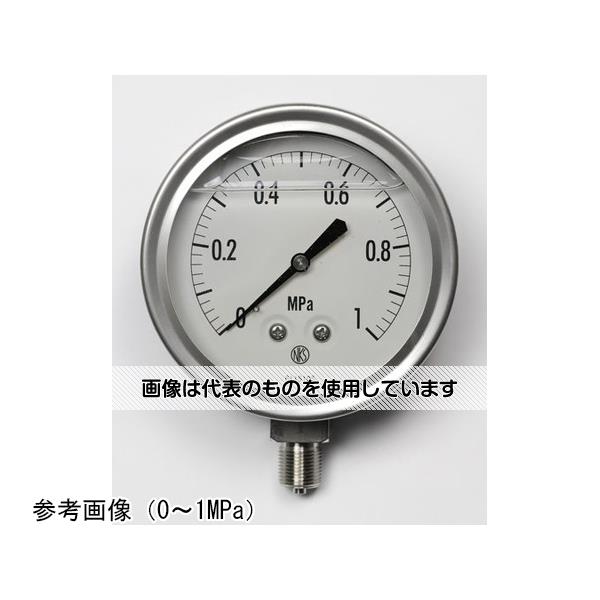 長野計器 グリセリン入圧力計(100Φ) 6MPa GV42-133 入数：1個