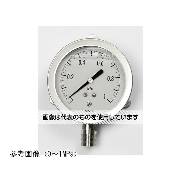 長野計器 グリセリン入圧力計(75Φ) 10MPa GV51-283 入数：1個