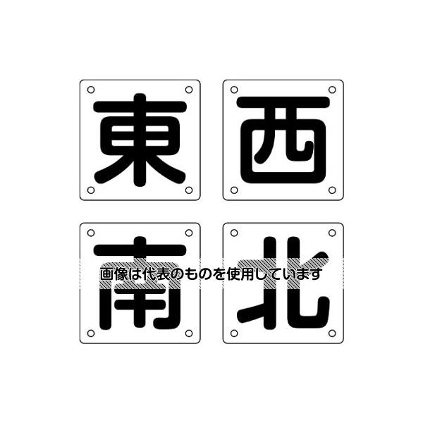 緑であること活動の領域