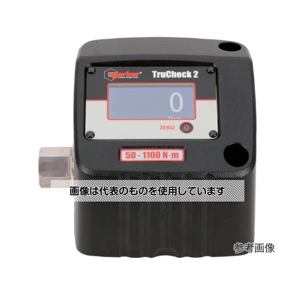 緑であること活動の領域