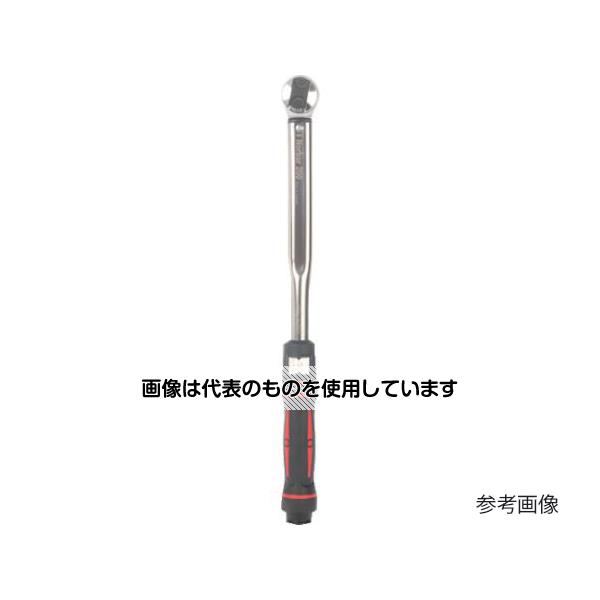 緑であること活動の領域