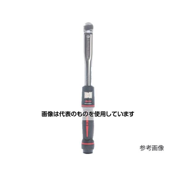 緑であること活動の領域
