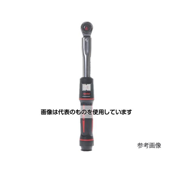 緑であること活動の領域
