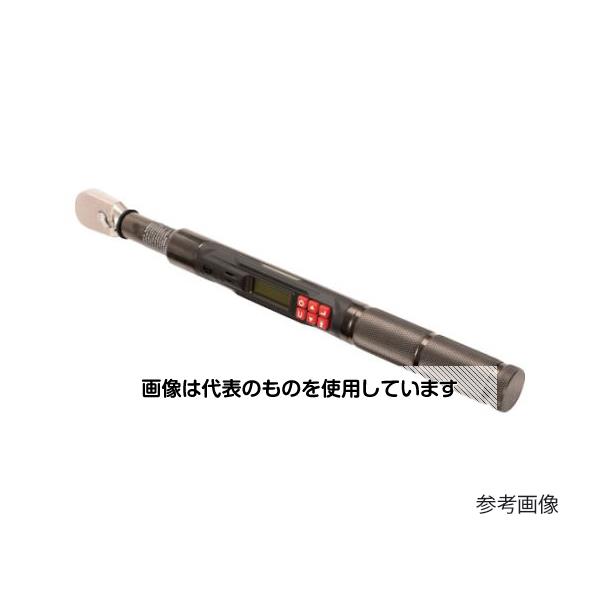 緑であること活動の領域
