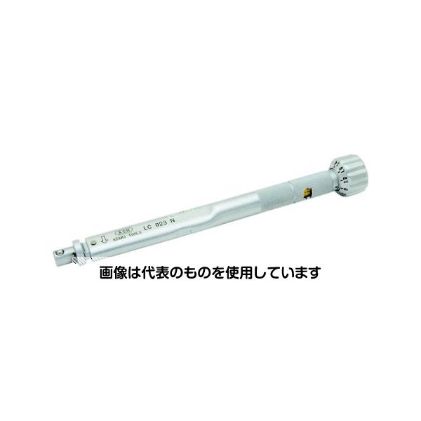 緑であること活動の領域