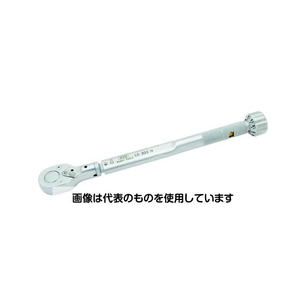 緑であること活動の領域