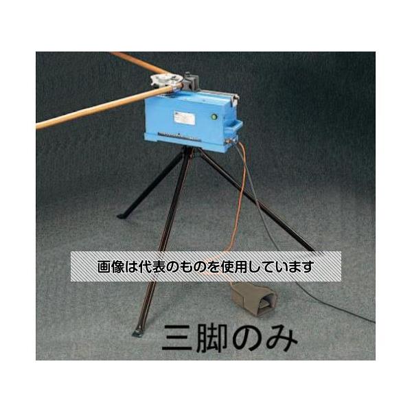 緑であること活動の領域