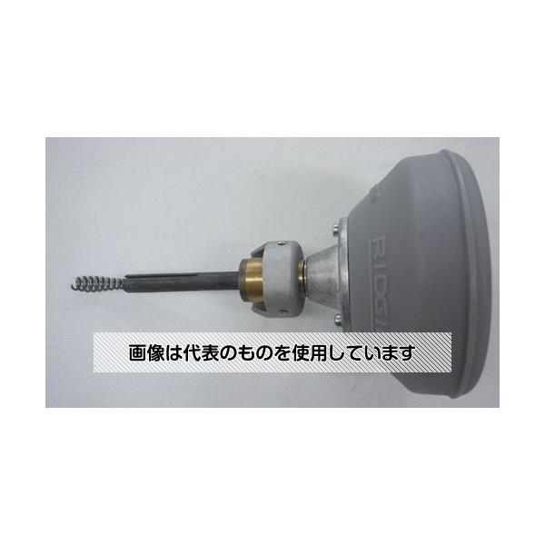 緑であること活動の領域