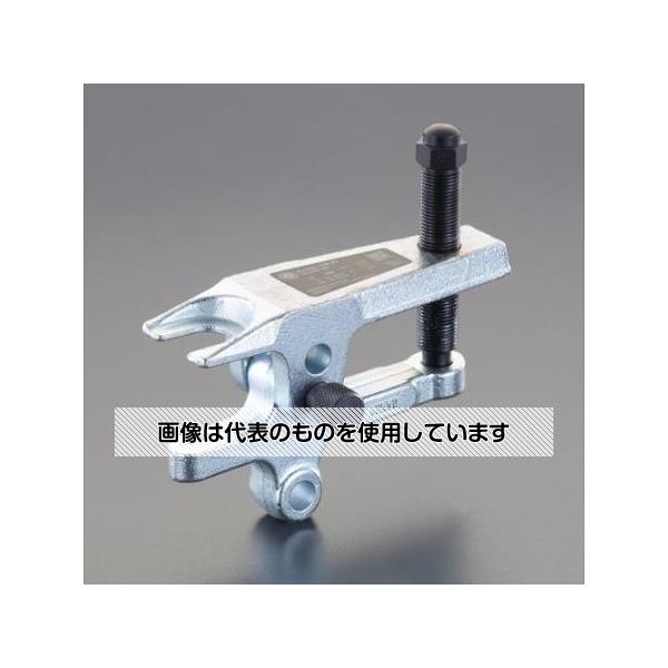 緑であること活動の領域