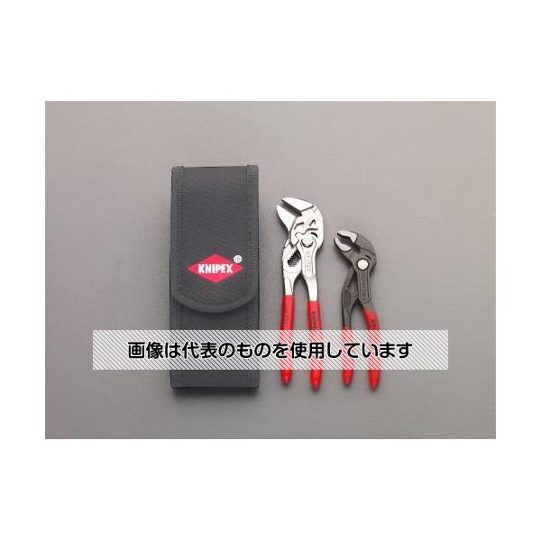 緑であること活動の領域