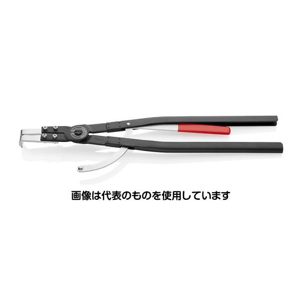 緑であること活動の領域