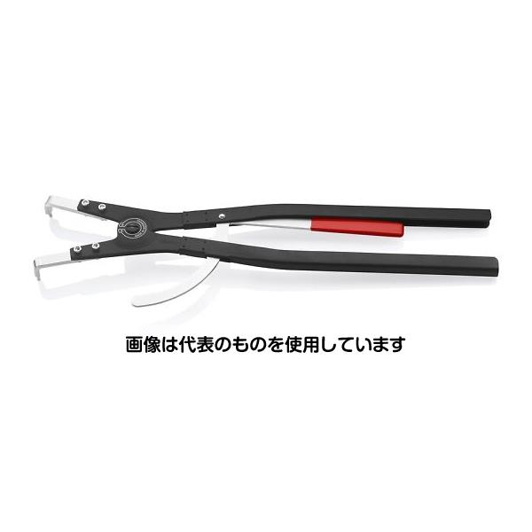 緑であること活動の領域