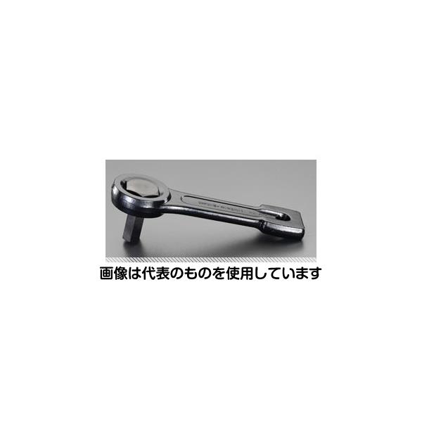 緑であること活動の領域