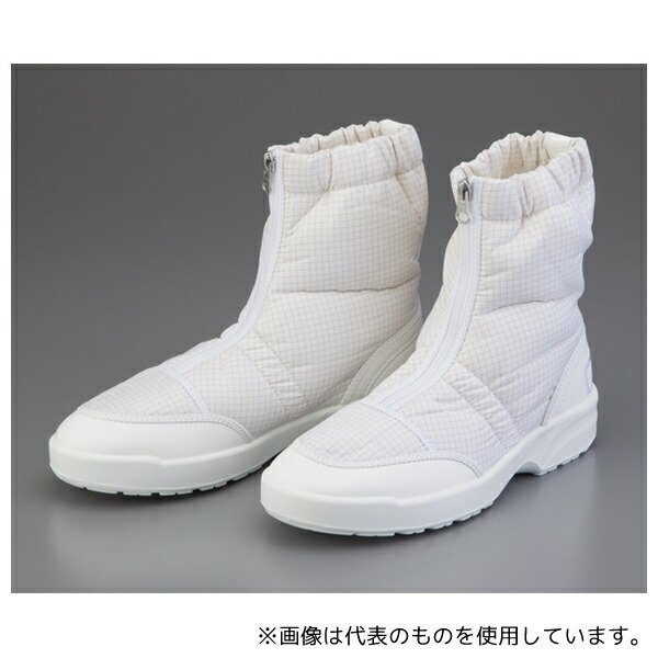 緑であること活動の領域