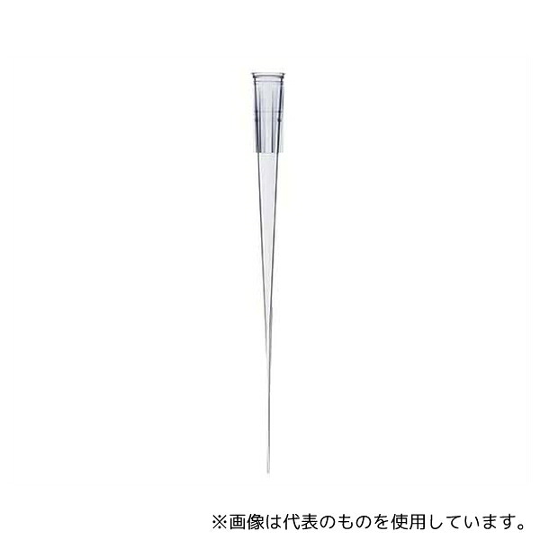 緑であること活動の領域