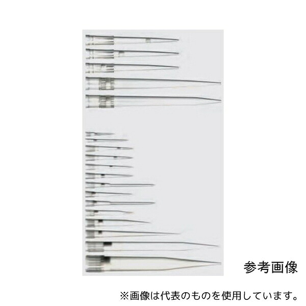 緑であること活動の領域
