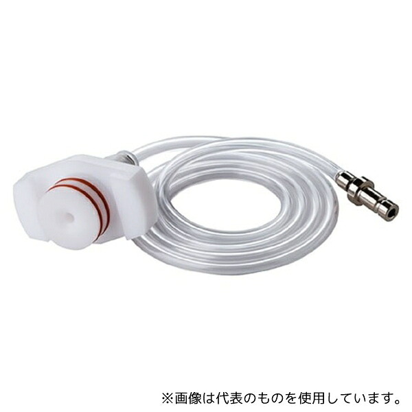 緑であること活動の領域