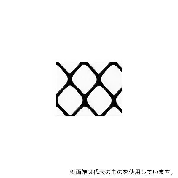 緑であること活動の領域