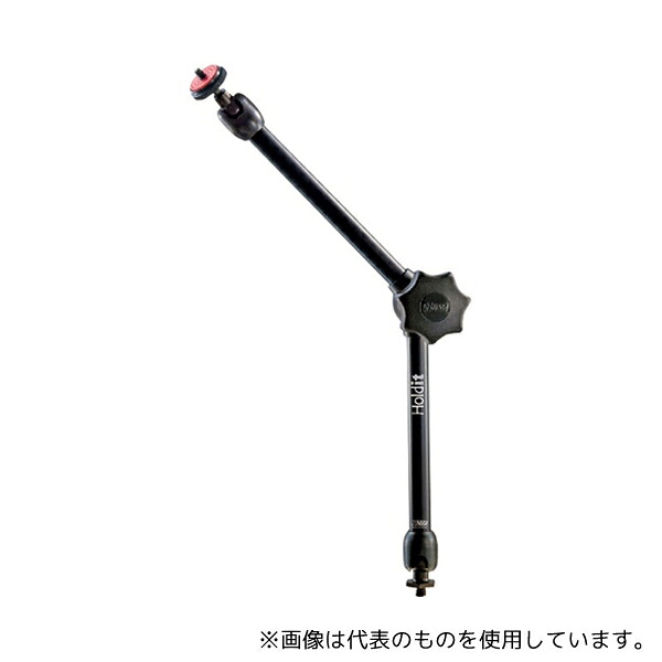 緑であること活動の領域