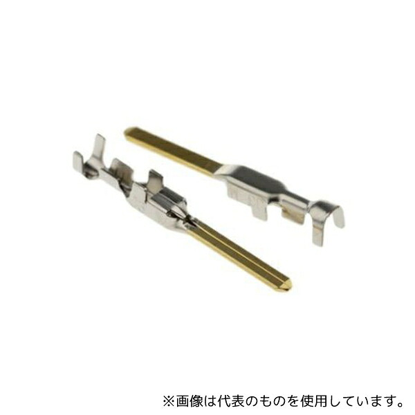 緑であること活動の領域