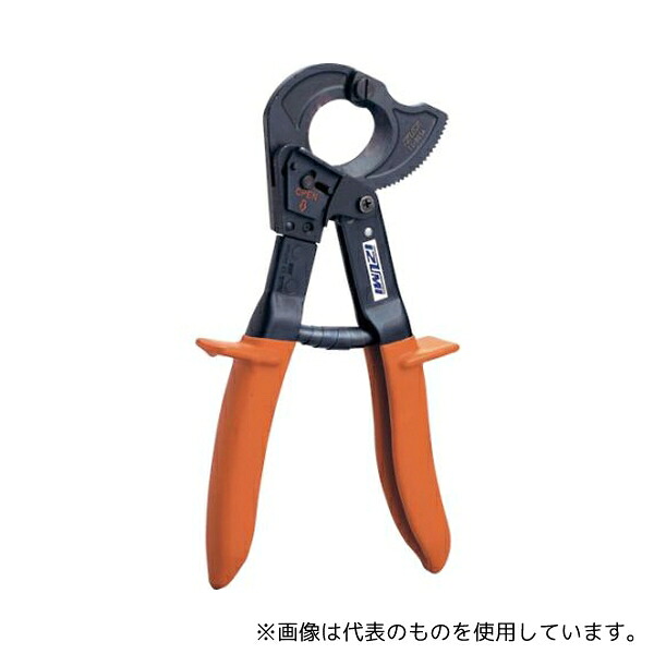 緑であること活動の領域