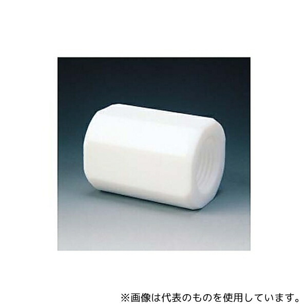 フロンケミカル NR0088-001 PTFE カップリング RC1/8×RC1/4