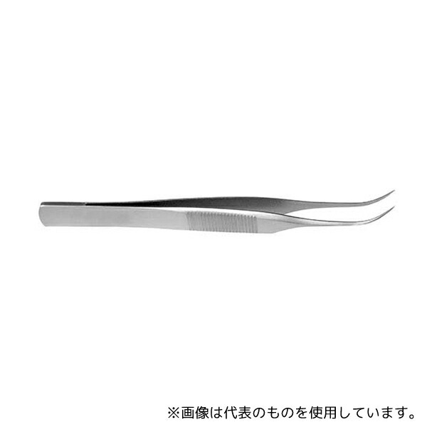 緑であること活動の領域