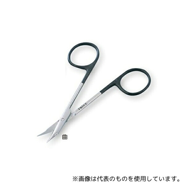 緑であること活動の領域