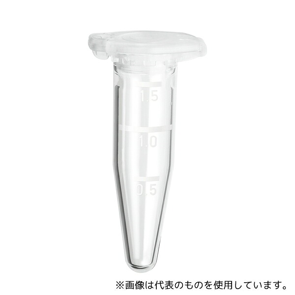 緑であること活動の領域