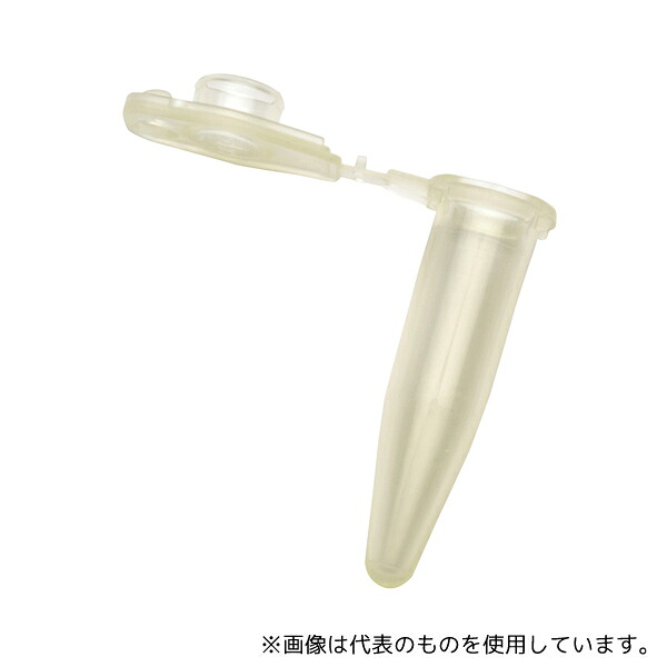 緑であること活動の領域