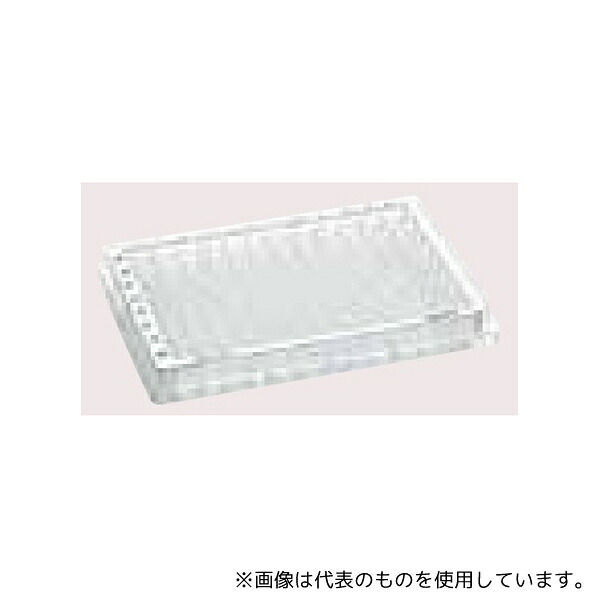 緑であること活動の領域