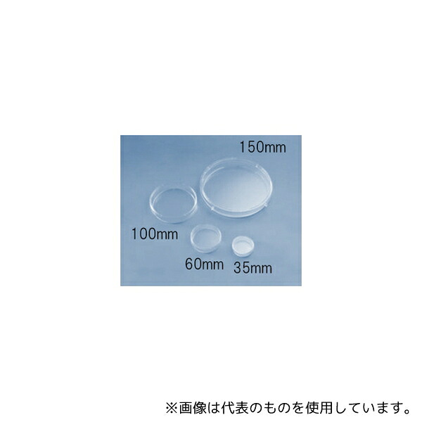 緑であること活動の領域