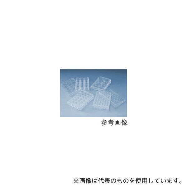 緑であること活動の領域